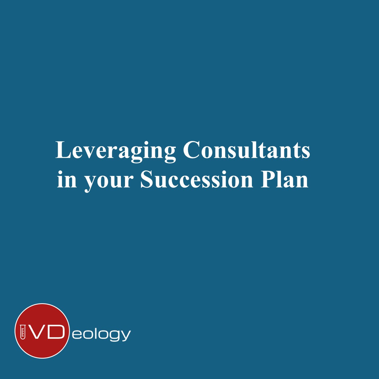 Leveraging Consultants in your Succession Plan